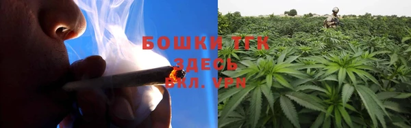 mdpv Инта