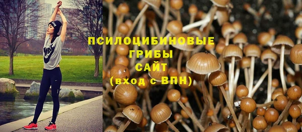 не бодяженный Инсар