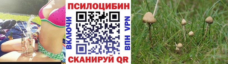 Псилоцибиновые грибы GOLDEN TEACHER  Купить где  Закаменск 