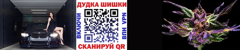 Купить закладки  Закаменск  Канабис SATIVA & INDICA 